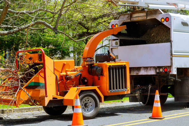 Best Utility Line Clearance  in Glouster, OH